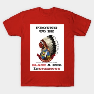 Proud To Be Black & Red Indigenous T-Shirt